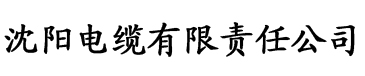 在线国产有码亚洲欧美电缆厂logo